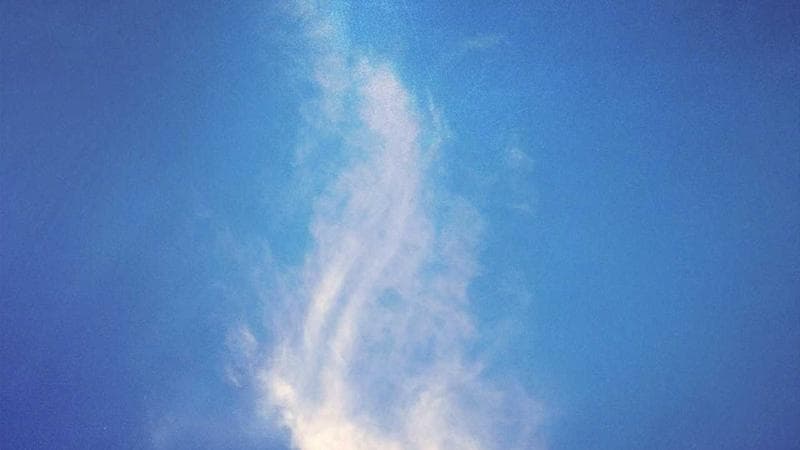 Prom Party Bus Guide for Chicago Parents & Students - Chicago party bus experience