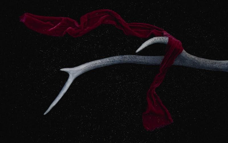 Comedy Shows in Chicago - photo 4