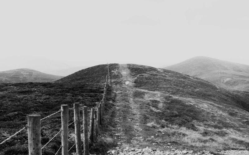4th of July celebration on a party bus