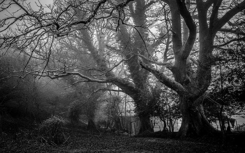 Riot Fest celebration on a party bus