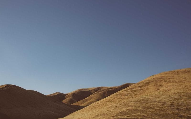 Team Building in Chicago - photo 2