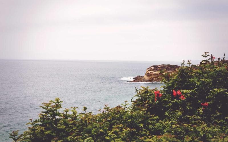 Bachelorette Parties in Chicago - photo 2