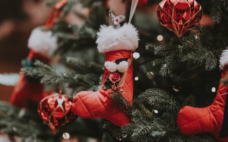 Christmas Parties party bus experience in Chicago