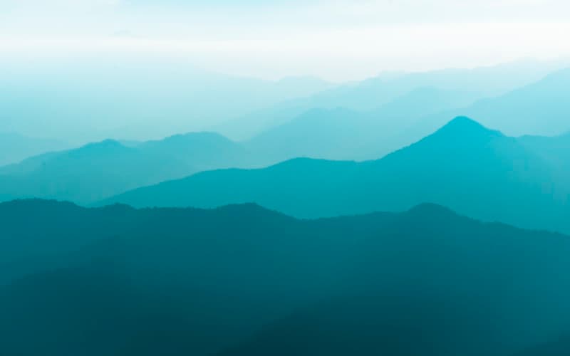 St. Patrick's Day party bus experience in Chicago