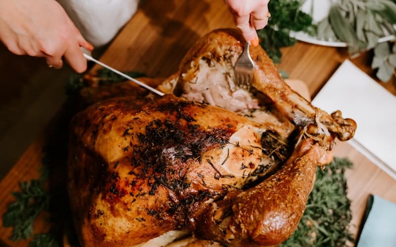 Thanksgiving transportation in Chicago
