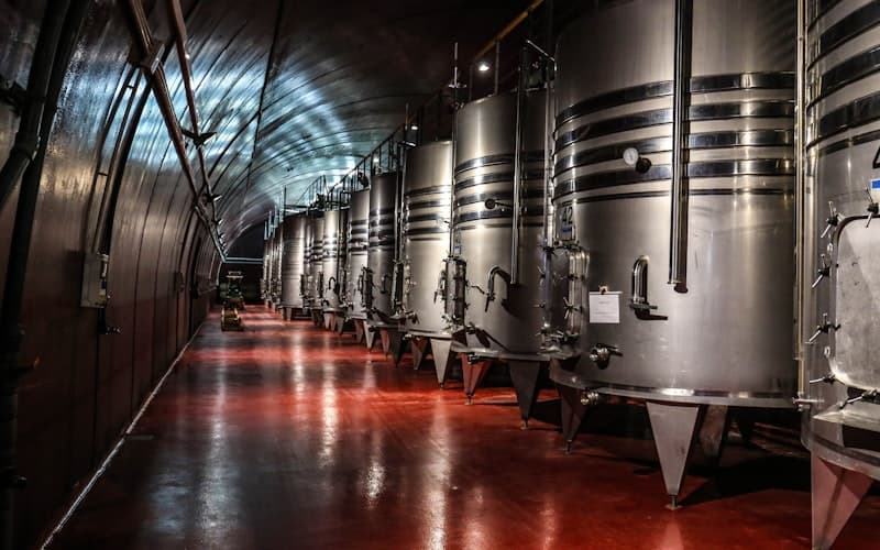 Wine Tours transportation in Chicago