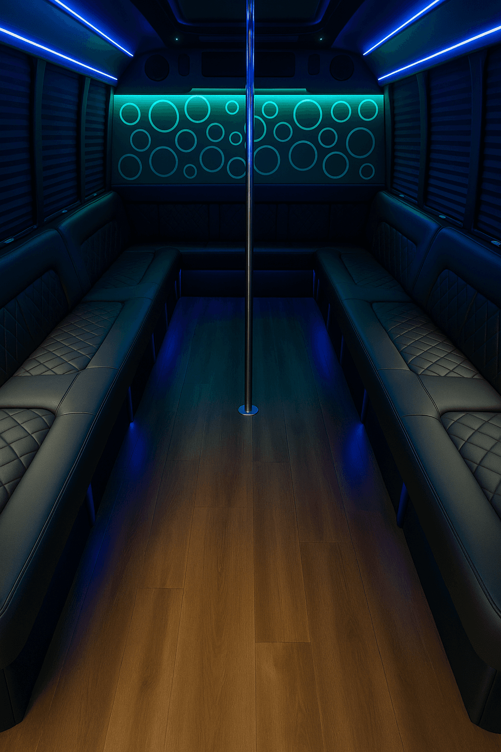 20 Passenger Party Bus - interior view