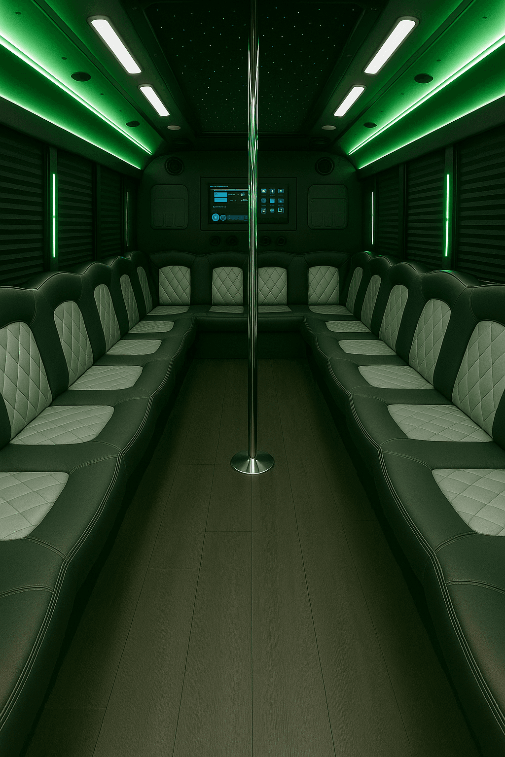 36 Passenger Party Bus - interior view