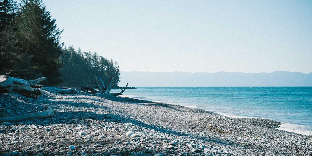 Seasonal party bus events in Plainfield