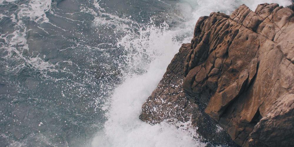 Why Elmhurst residents choose Chicago Party Bus Fun